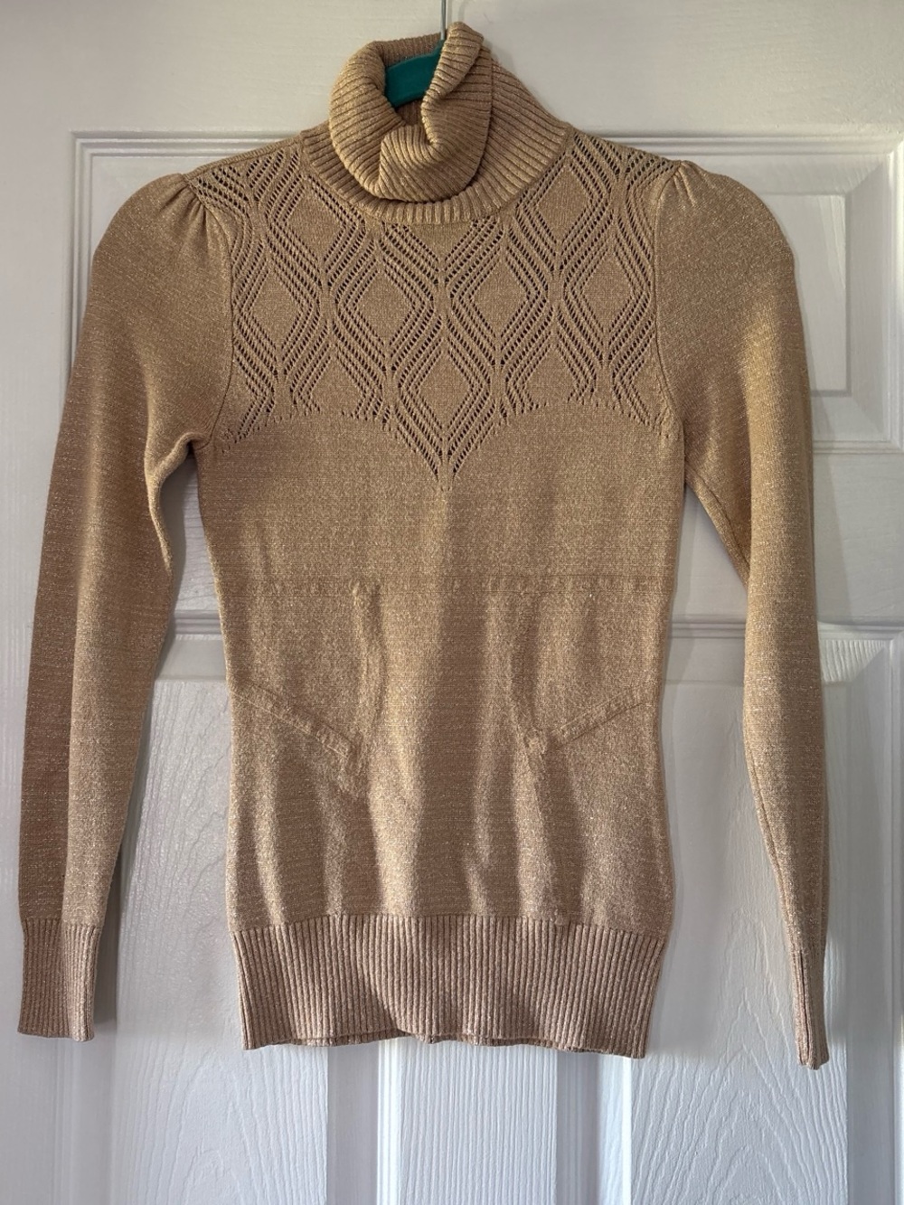 Arden B Gold-Tone Pointelle Turtleneck Sweater